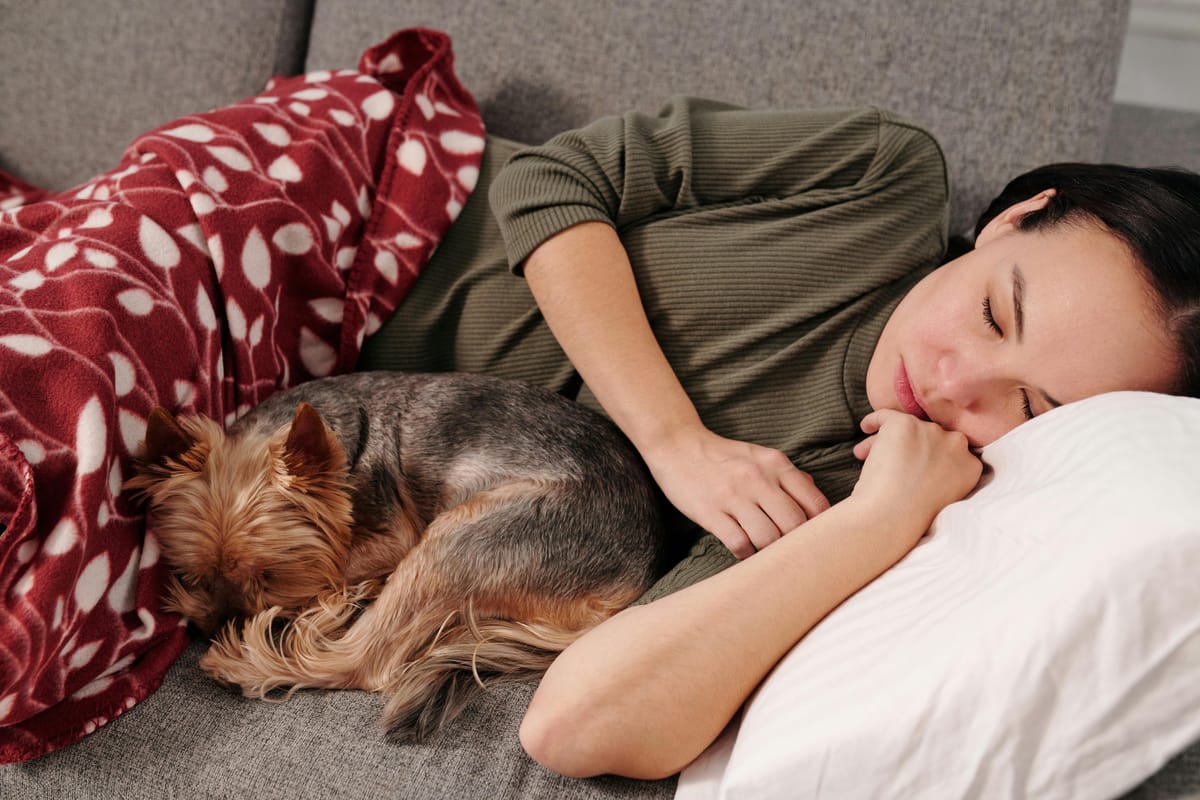 The benefits of sleeping with a dog.