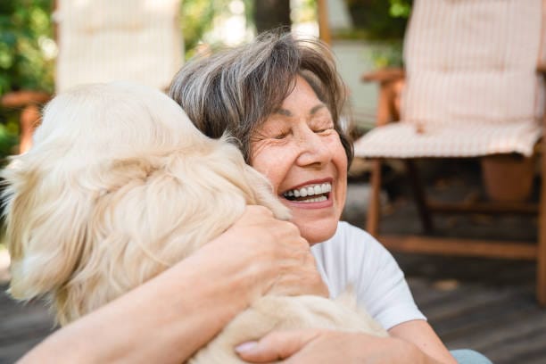 The best dog's breeds for elderly people.