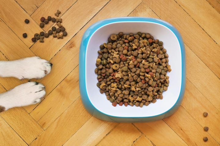 How often  should we clean our dog's bowl?