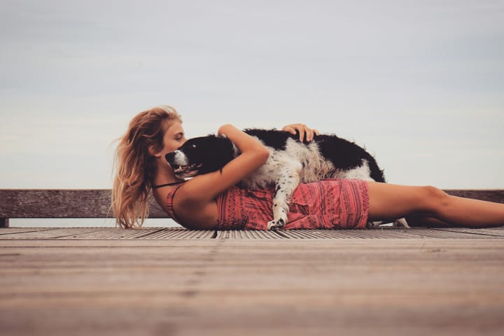 How your dog says I love you